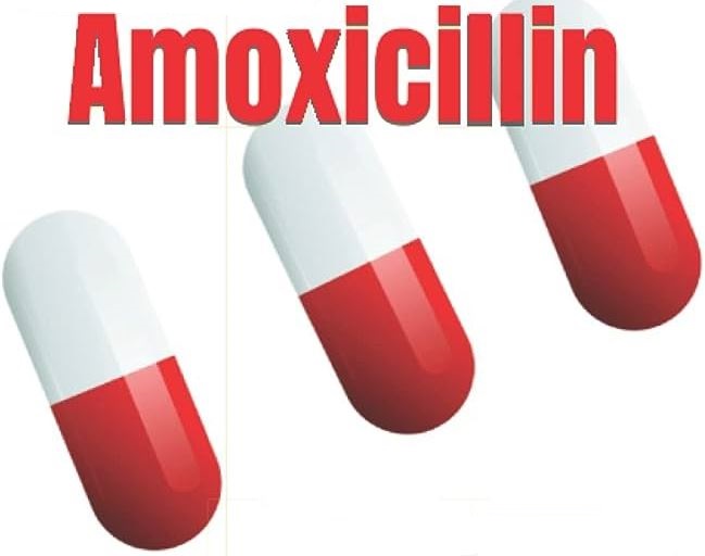 amoxicillin side effects